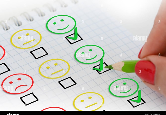 Member feedback survey